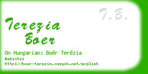 terezia boer business card
